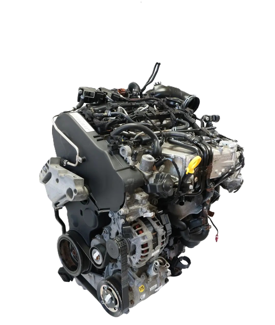 Goli Motor Audi-VW CHX