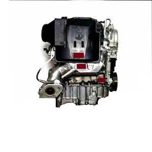 Goli Motor DACIA K4M690