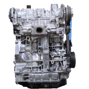 Goli Motor FIAT RFU